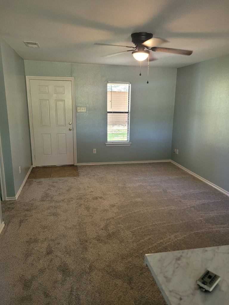 737 Luther Ln, Gun Barrel City, TX 75156 - #3