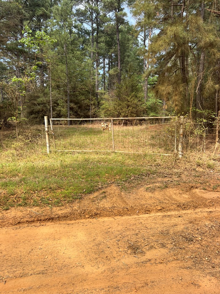 0 Acr 335, Frankston, TX 75763 - #2