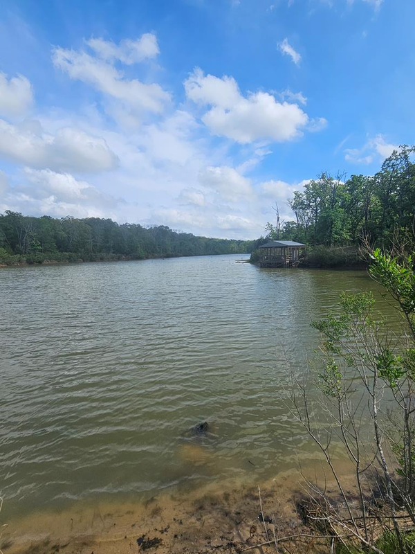 8002 Cr 2800, Athens, TX 75751