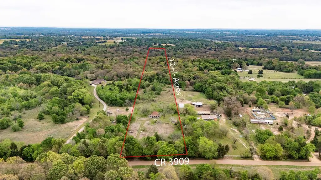9722 Cr 3909, Athens, TX 75752 - #1