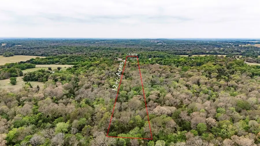 9722 Cr 3909, Athens, TX 75752 - #2