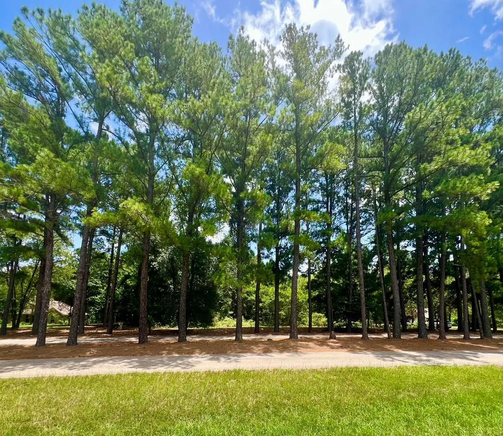Lot 20 Valley View Dr, Athens, TX 75752 - #1