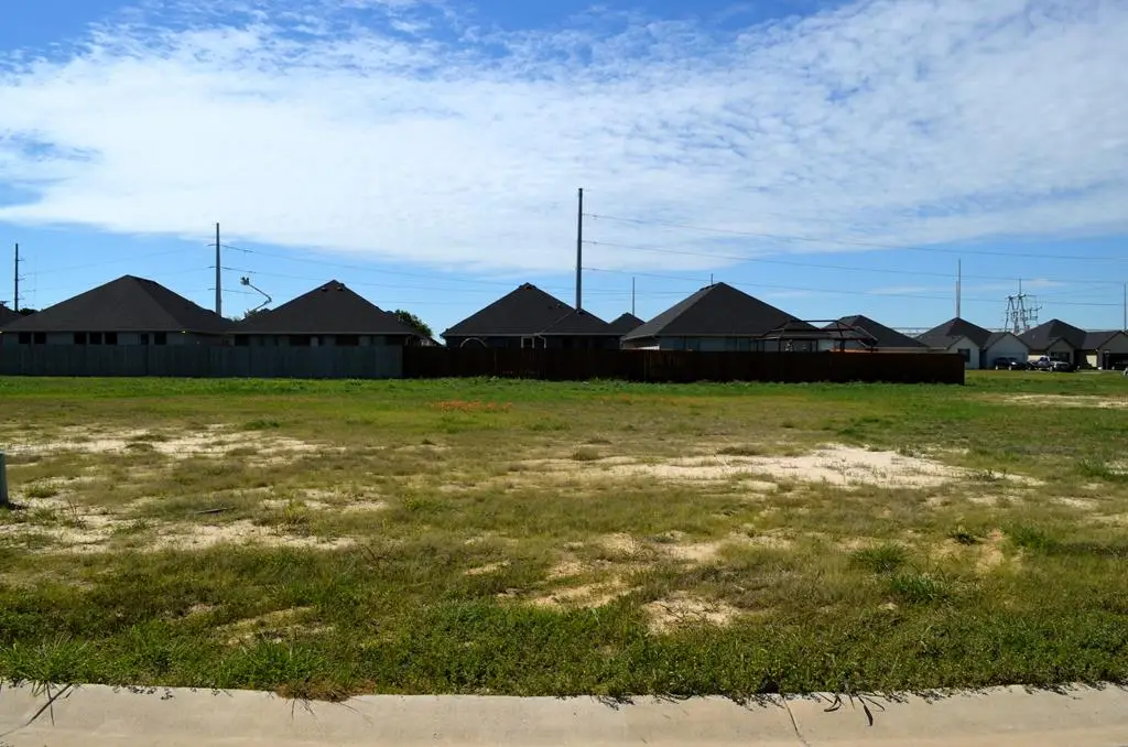 313 Preston Rd, Mabank, TX 75147 - #1