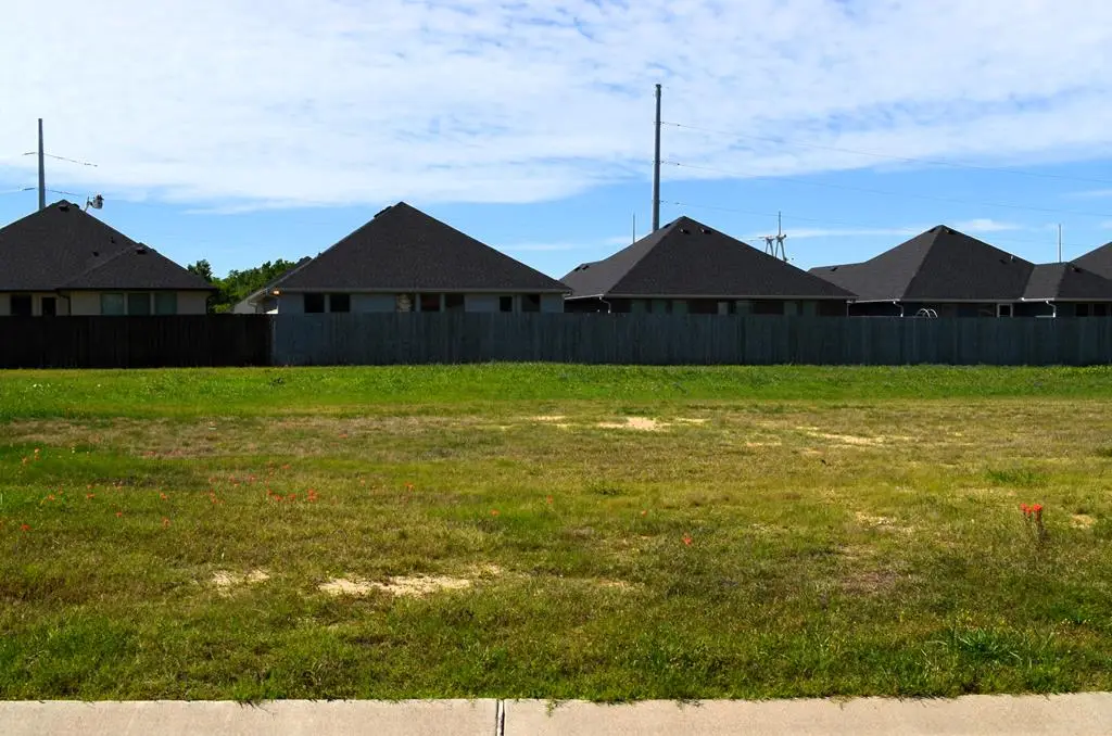 307 Preston Rd, Mabank, TX 75147 - #1