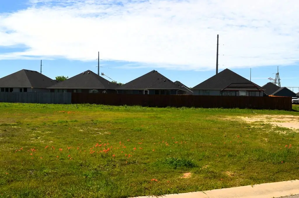 317 Preston Rd, Mabank, TX 75147 - #1