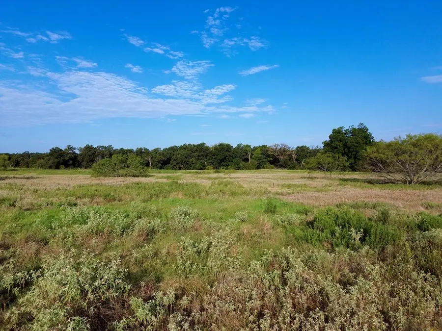 Lot 2 R And R Cir, Kemp, TX 75143 - #3