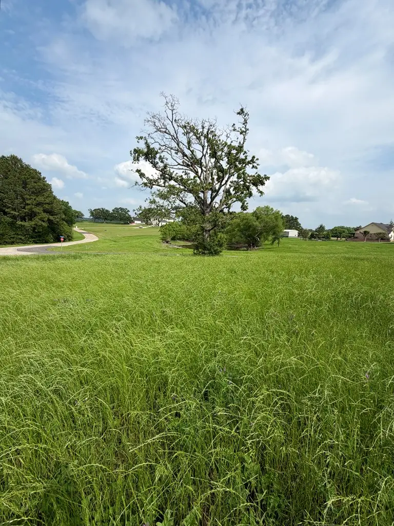 Lot 234 Wildlife Way, Athens, TX 75752 - #2