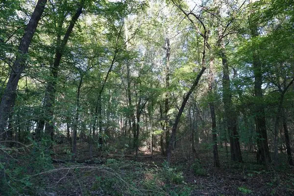 6902 Stella St, Murchison, TX 75778