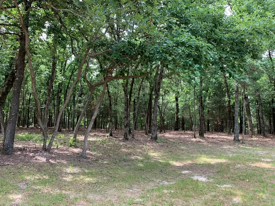 TBD Cr 3710, Athens, TX 75752 - #2
