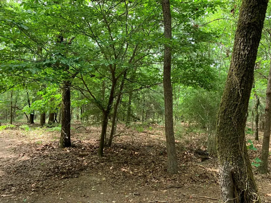 TBD Cr 3710, Athens, TX 75752 - #3