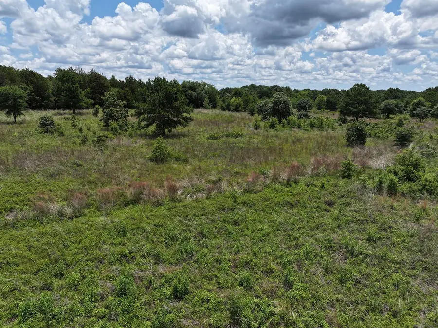 3843 Fm 1256, Eustace, TX 75124 - #2
