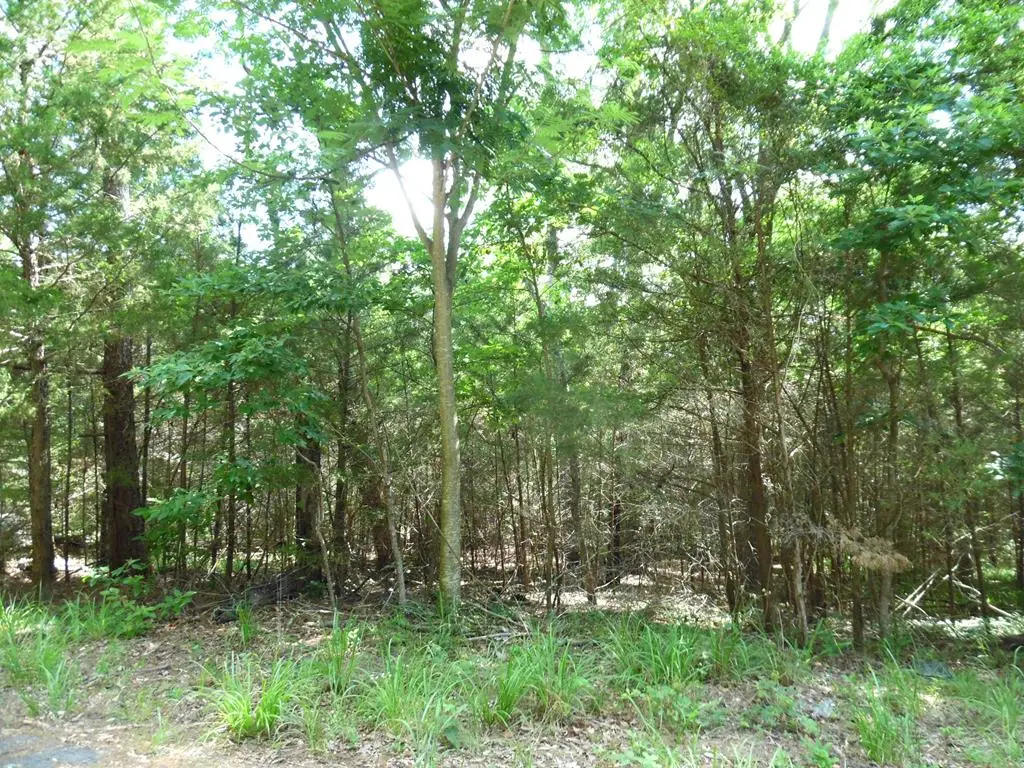 18-TBD Dogwood Dr, Murchison, TX 75778 - #1