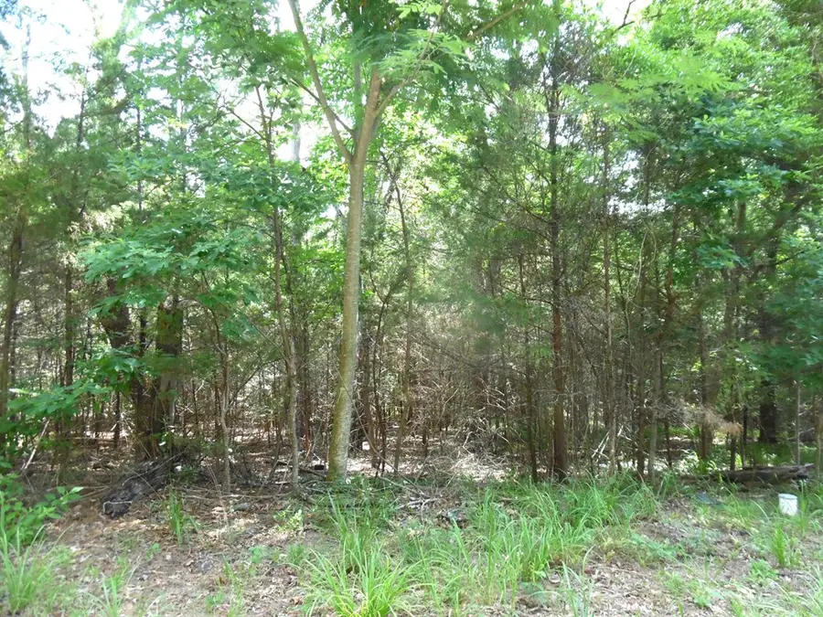 18-TBD Dogwood Dr, Murchison, TX 75778 - #3