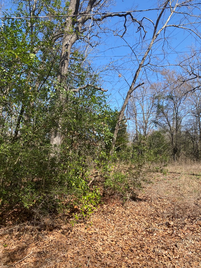 000 Ranch Circle, Eustace, TX 75124 - #2