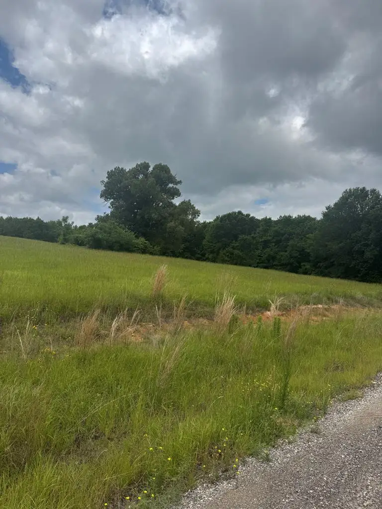 TBD Belles Ln, Chandler Brownsboro, TX 75156 - #1