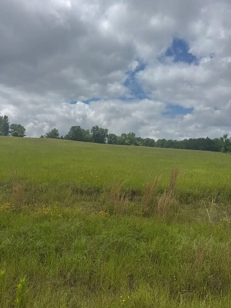 TBD Belles Ln, Chandler Brownsboro, TX 75156 - #2