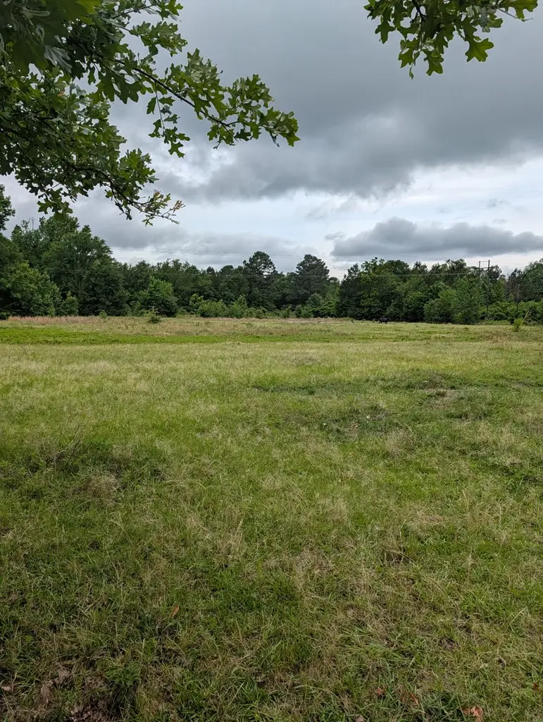 0 Cr 3448, Hawkins, TX 75765 - #3