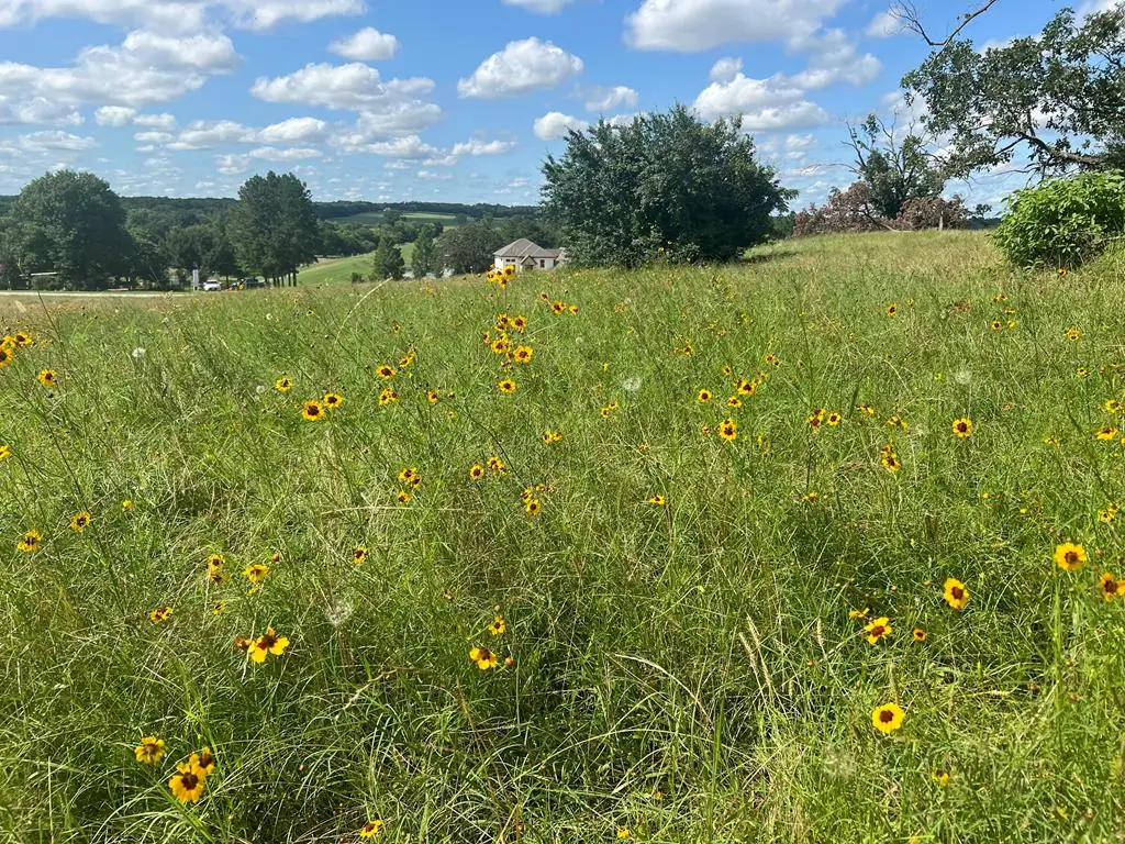 Lot 231 Wildlife Way, Athens, TX 75752 - #1