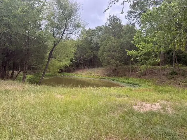 TBD Cr 2500, Eustace, TX 75124 - #3