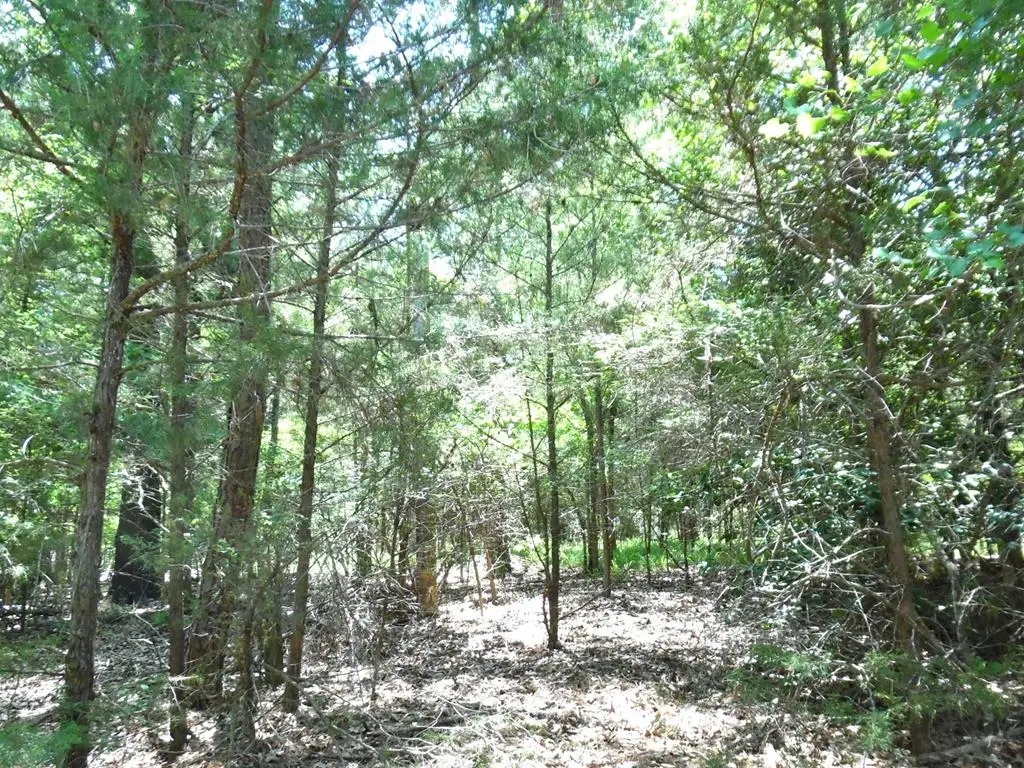 21-TBD Dogwood Dr, Murchison, TX 75778 - #1