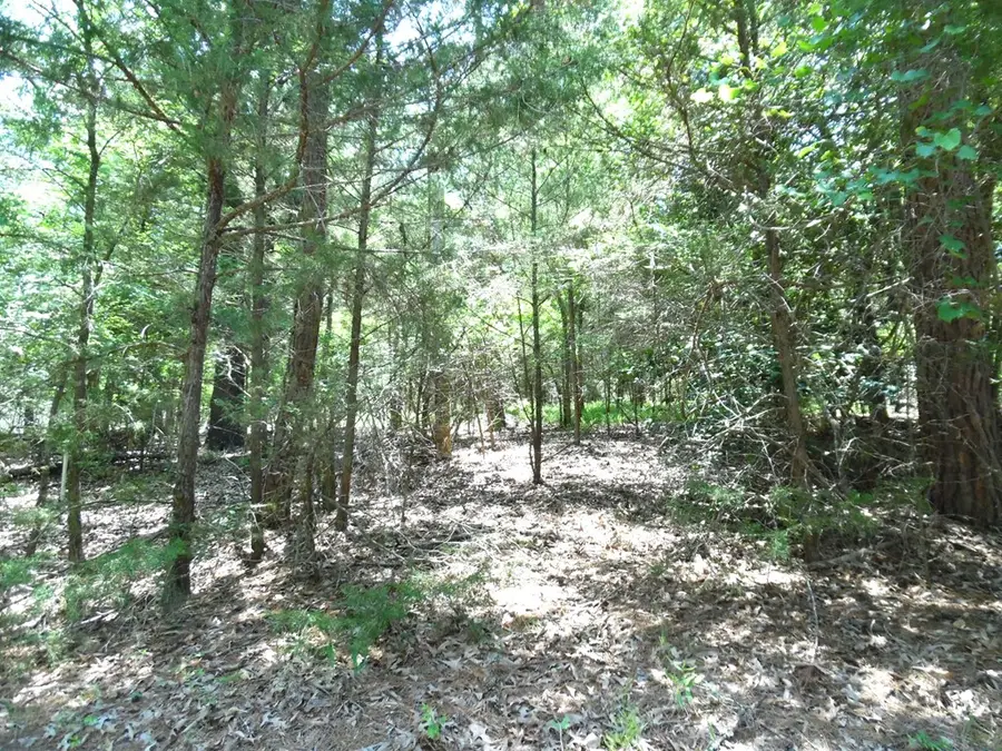 21-TBD Dogwood Dr, Murchison, TX 75778 - #3