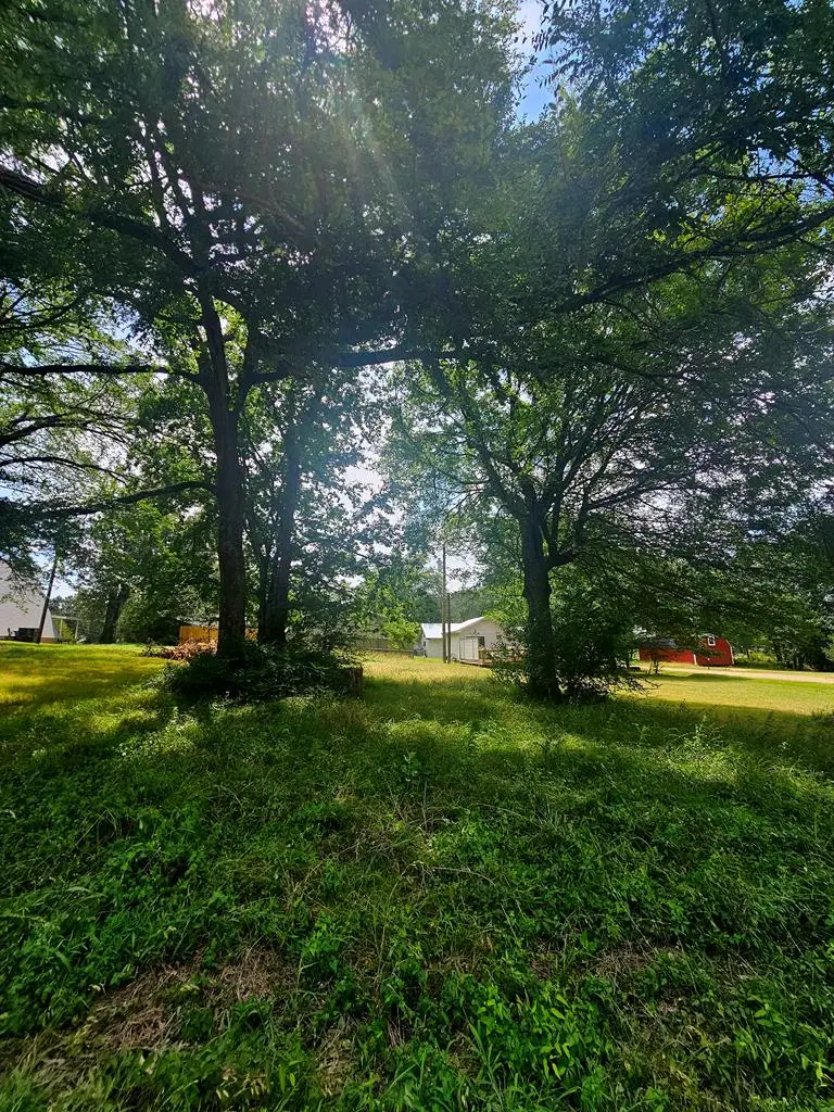 Lot 172 Tanglewood Dr, Mabank, TX 75156 - #2