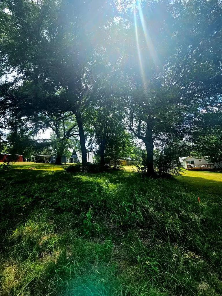 Lot 172 Tanglewood Dr, Mabank, TX 75156 - #3