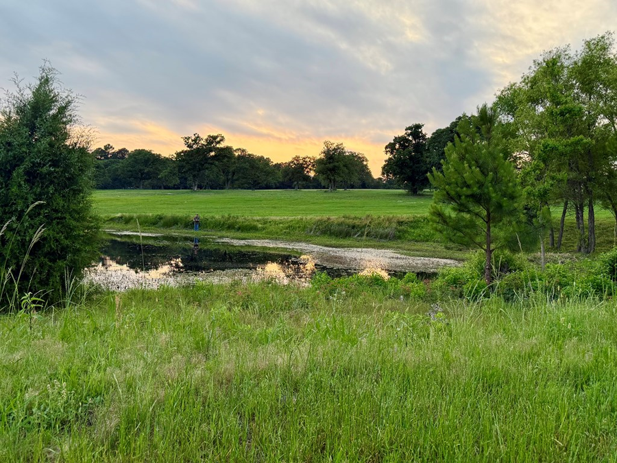 Lot 309 Grand View Dr, Athens, TX 75752 - #2