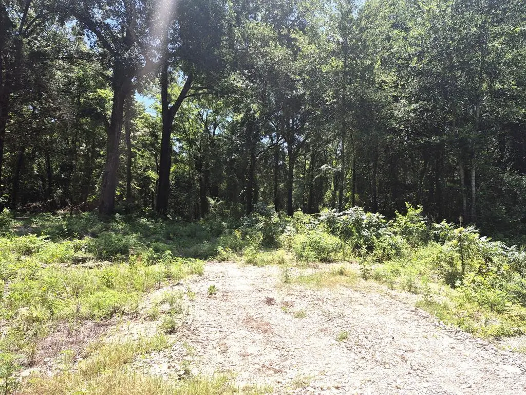 L 10-TBD Vz Cr 4112, Canton, TX 75103 - #1