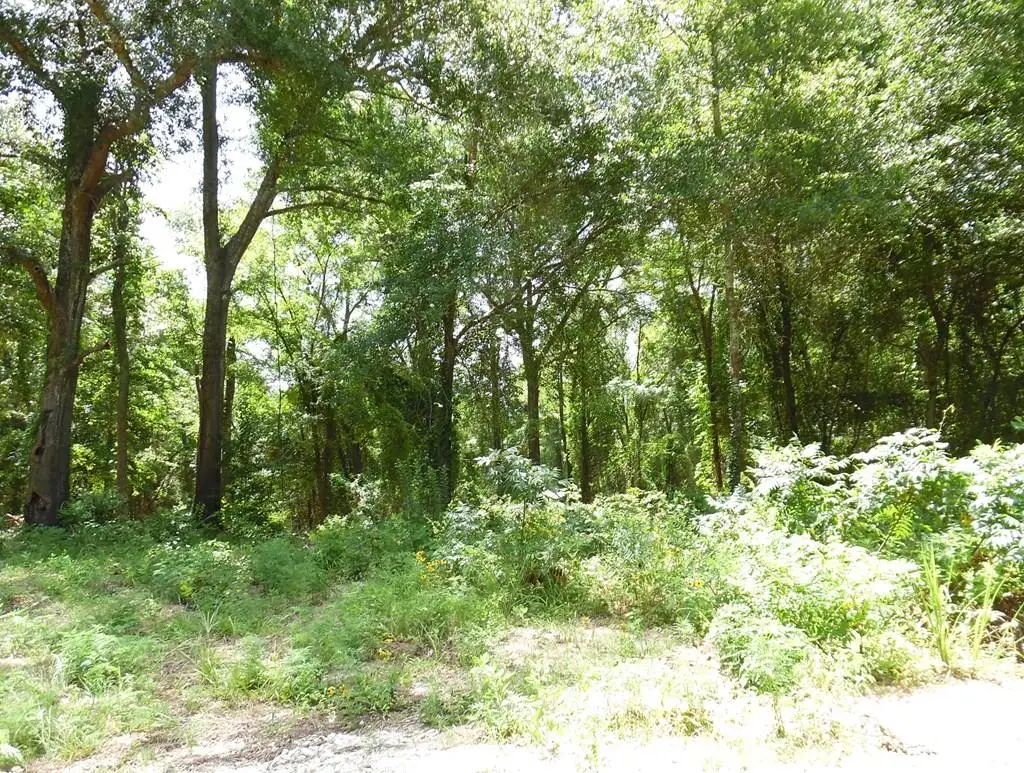 L 12-TBD Vz Cr 4112, Canton, TX 75103 - #1