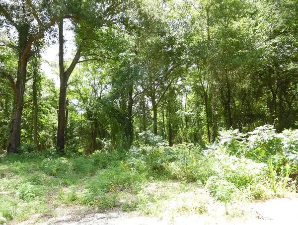 L 12-TBD Vz Cr 4112, Canton, TX 75103
