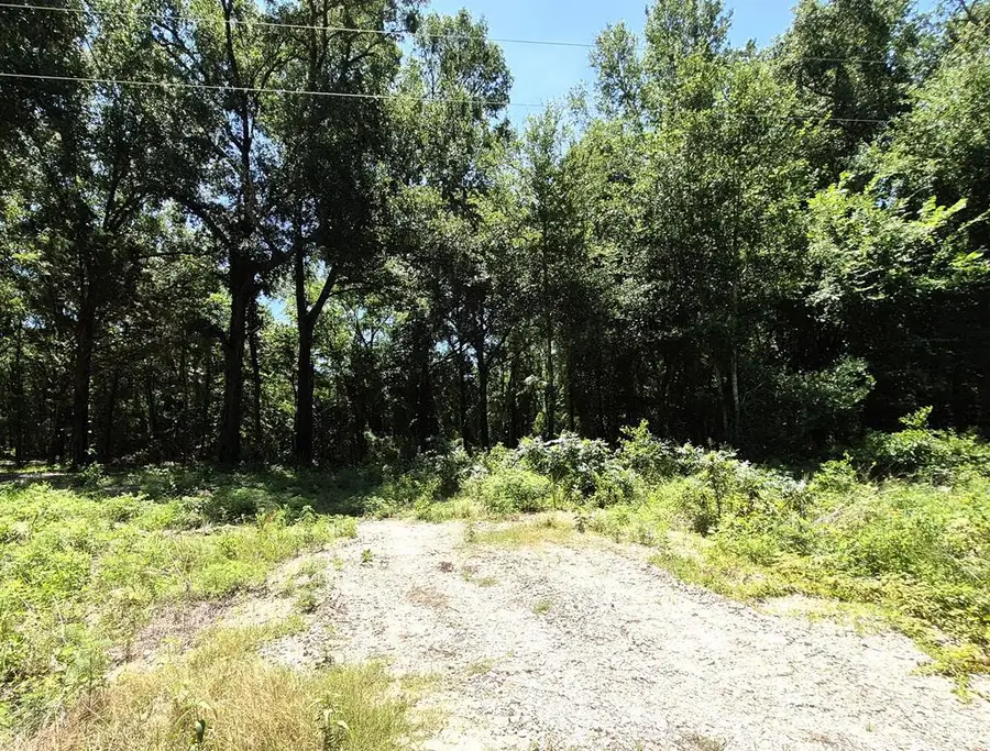 L 12-TBD Vz Cr 4112, Canton, TX 75103 - #2