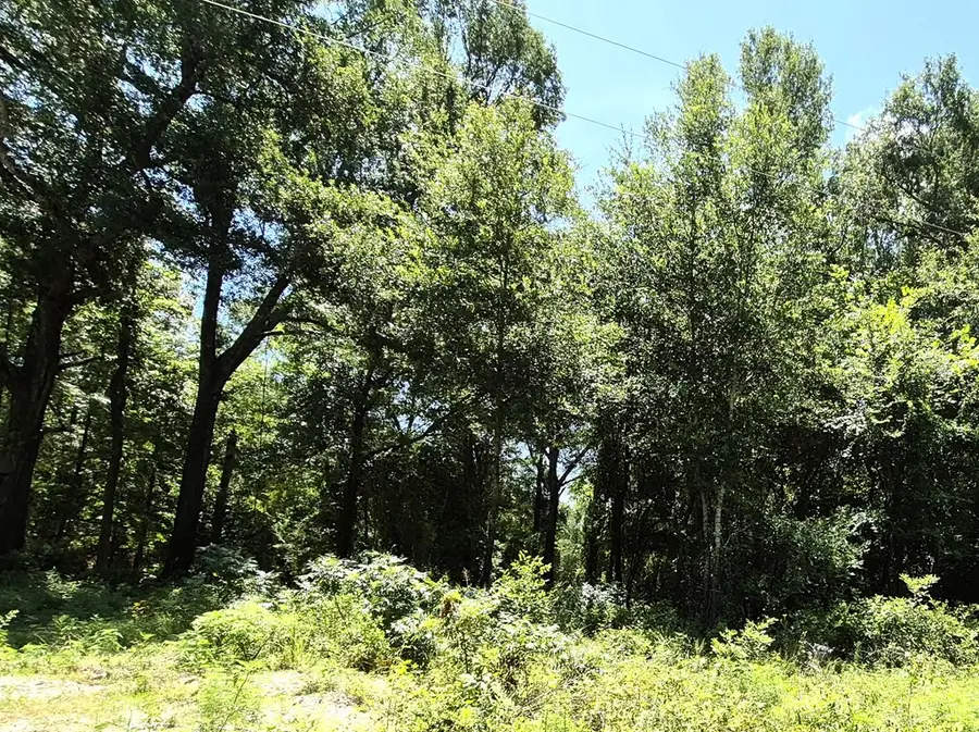 L 12-TBD Vz Cr 4112, Canton, TX 75103 - #3