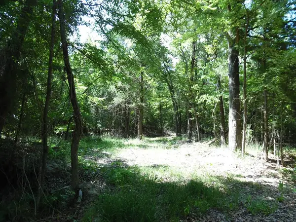 11-12TBD Deer Path, Murchison, TX 75778