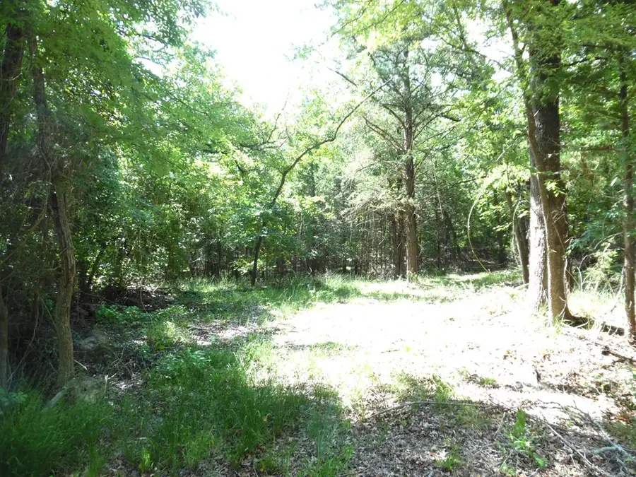 11-12TBD Deer Path, Murchison, TX 75778 - #2