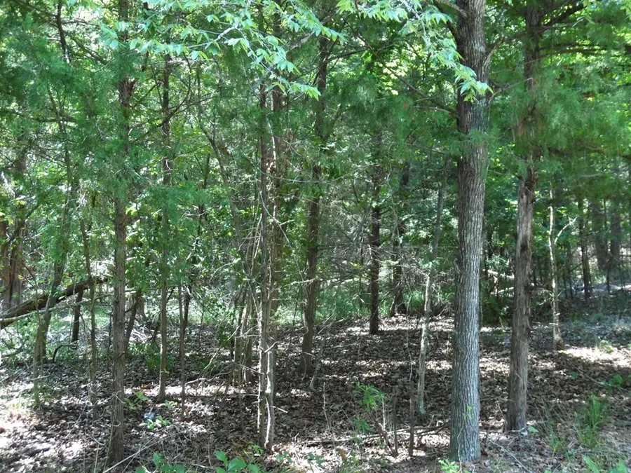 11-12TBD Deer Path, Murchison, TX 75778 - #3