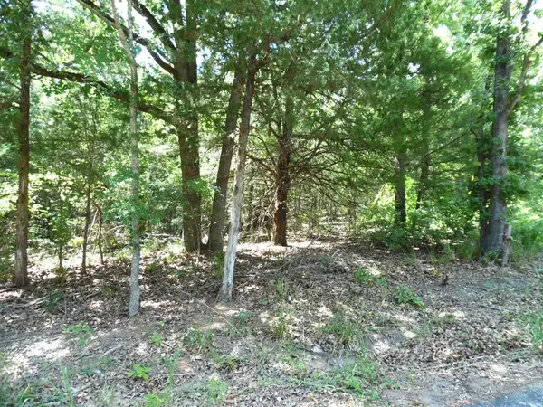11.TBD Deer Path, Murchison, TX 75778