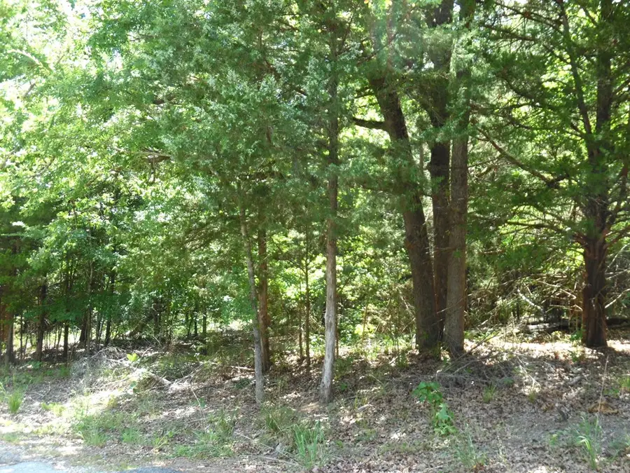 11.TBD Deer Path, Murchison, TX 75778 - #2