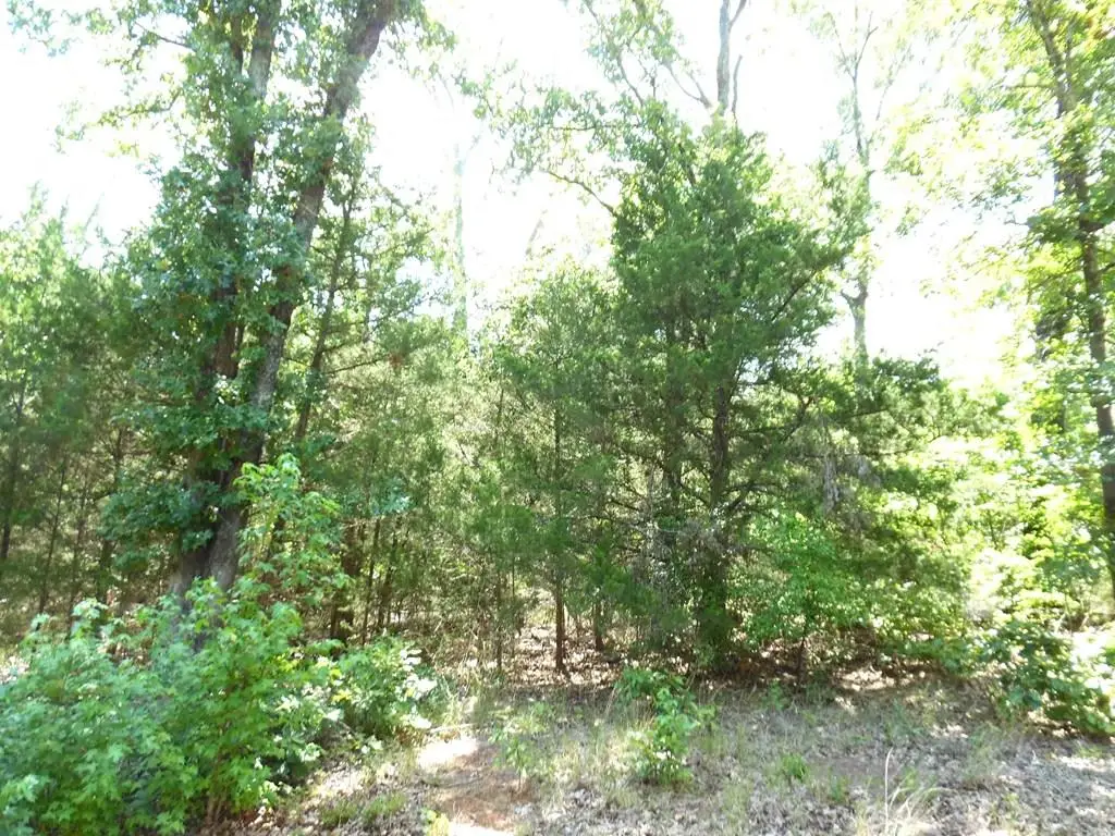 12 TBD Deer Path, Murchison, TX 75778 - #1