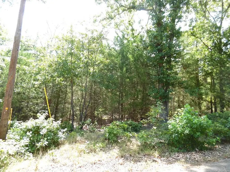 12 TBD Deer Path, Murchison, TX 75778 - #2