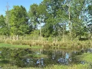 2937 An Cr 2303, Montalba, TX 75853 - #3