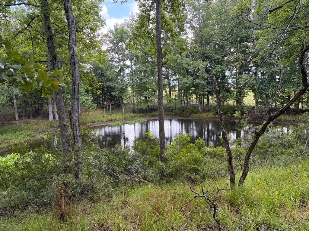 8771 Fallow Run, Larue, TX 75770 - #1