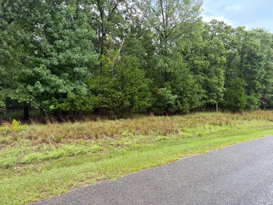 8771 Fallow Run, Larue, TX 75770 - #2