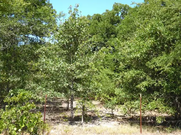 TBD Cr 1313, Athens, TX 75148