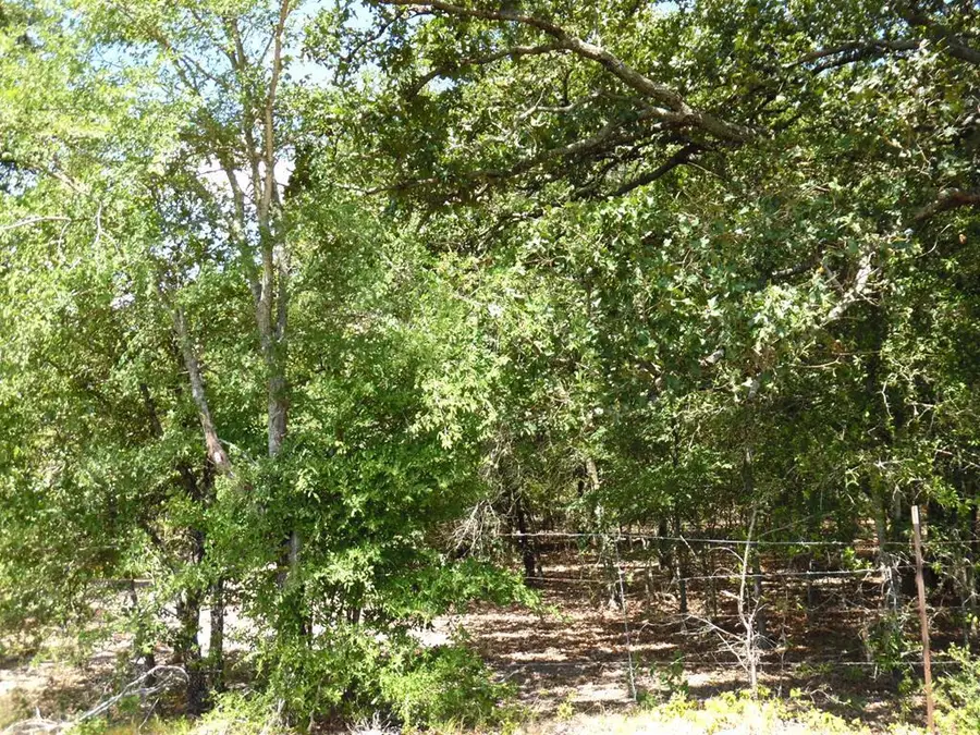 TBD Cr 1313, Athens, TX 75148 - #2