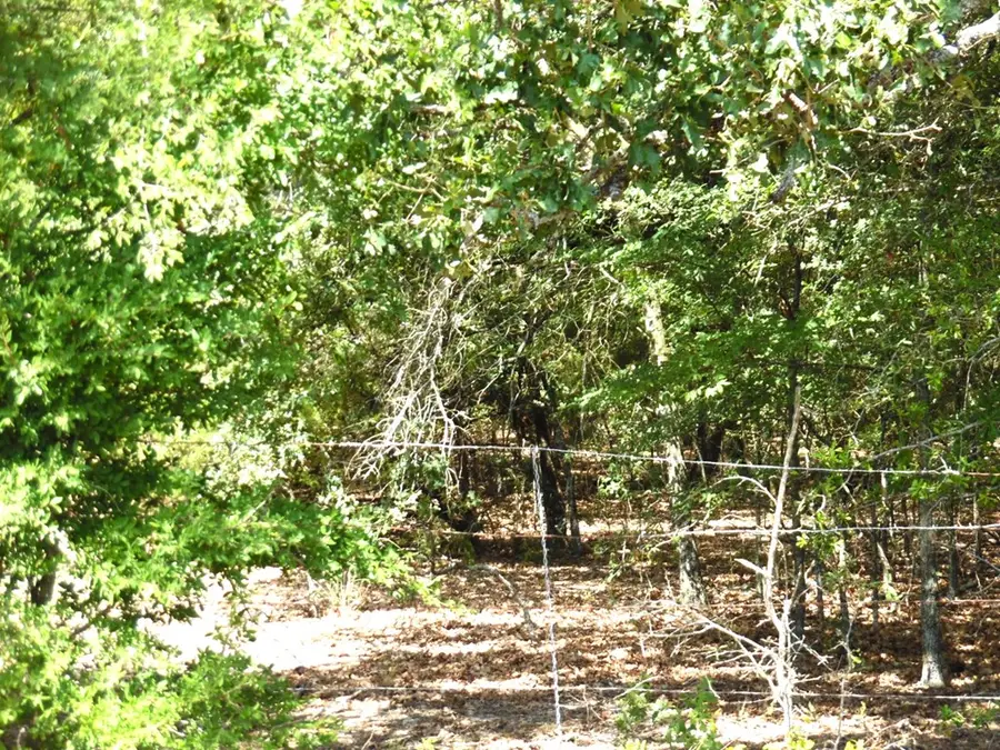 TBD Cr 1313, Athens, TX 75148 - #3