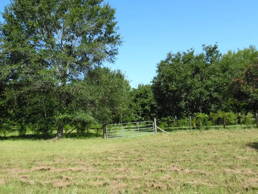 6139 Cr 4700, Athens, TX 75752 - #3