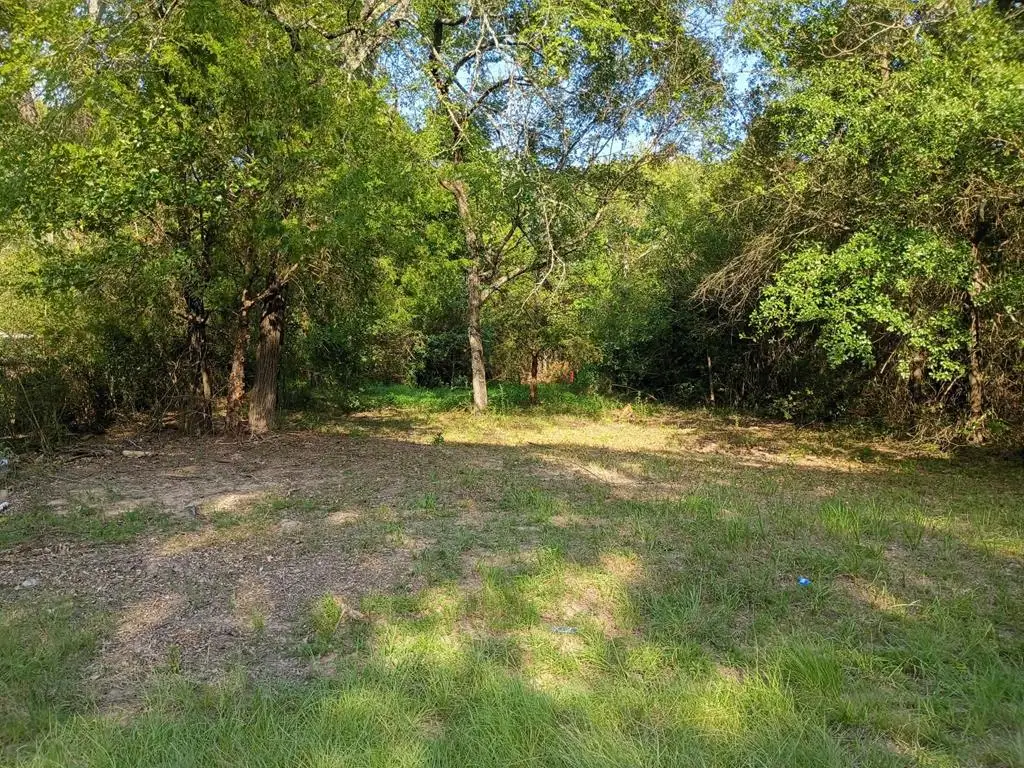 109 Geronimo, Mabank, TX 75156 - #1