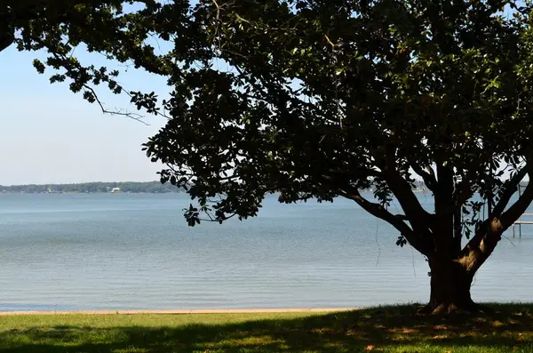 121 Autumnwood Trl, Gun Barrel City, TX 75156