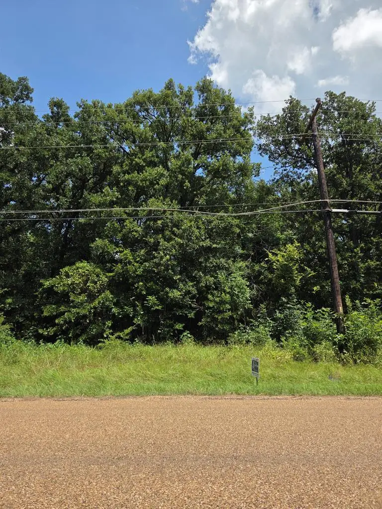 0 Double Bridge Rd, Mabank, TX 75156 - #1